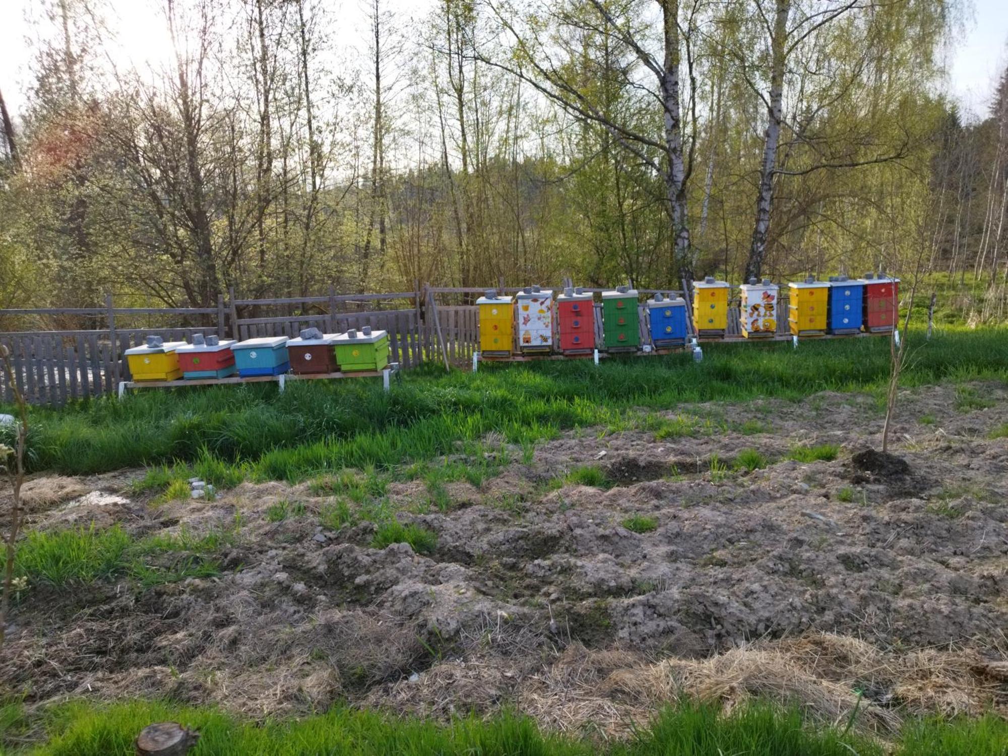 Farma U Lesa Lägenhet Hlinsko Exteriör bild
