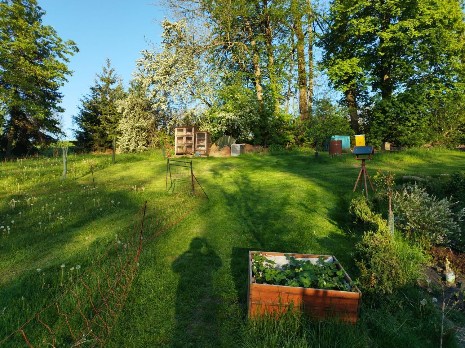 Farma U Lesa Lägenhet Hlinsko Exteriör bild